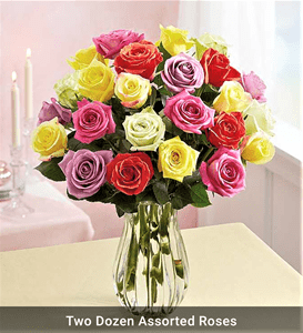2. Two Dozen Mixed Roses in Vase