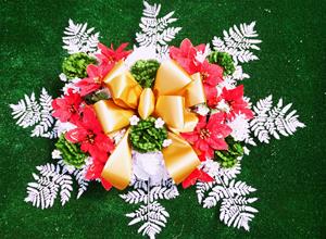 35m. Largest Spray of Christmas Flowers